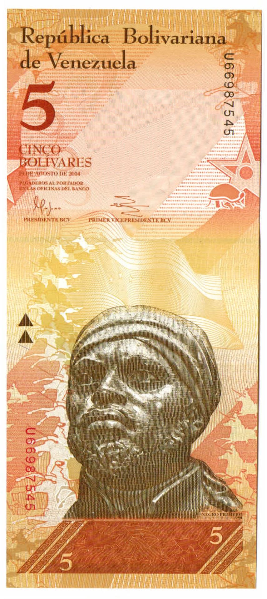Giant Armadillo 5 Bolivares Venezuela Authentic Banknote for Craft Making