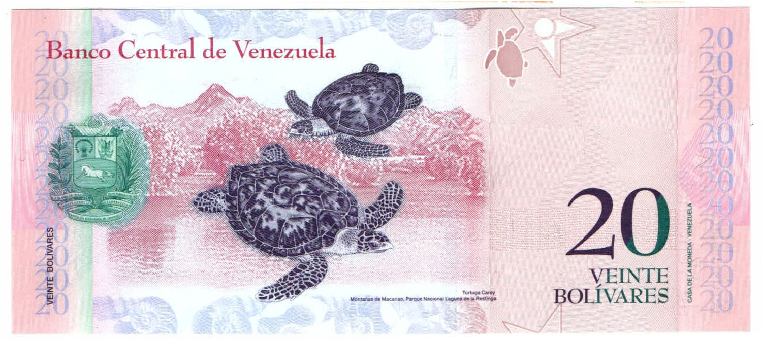 Hawksbill Sea Turtles 20 Bolivares Venezuela Authentic Banknote for Craft Making (Luisa Cáceres de Arismendi)