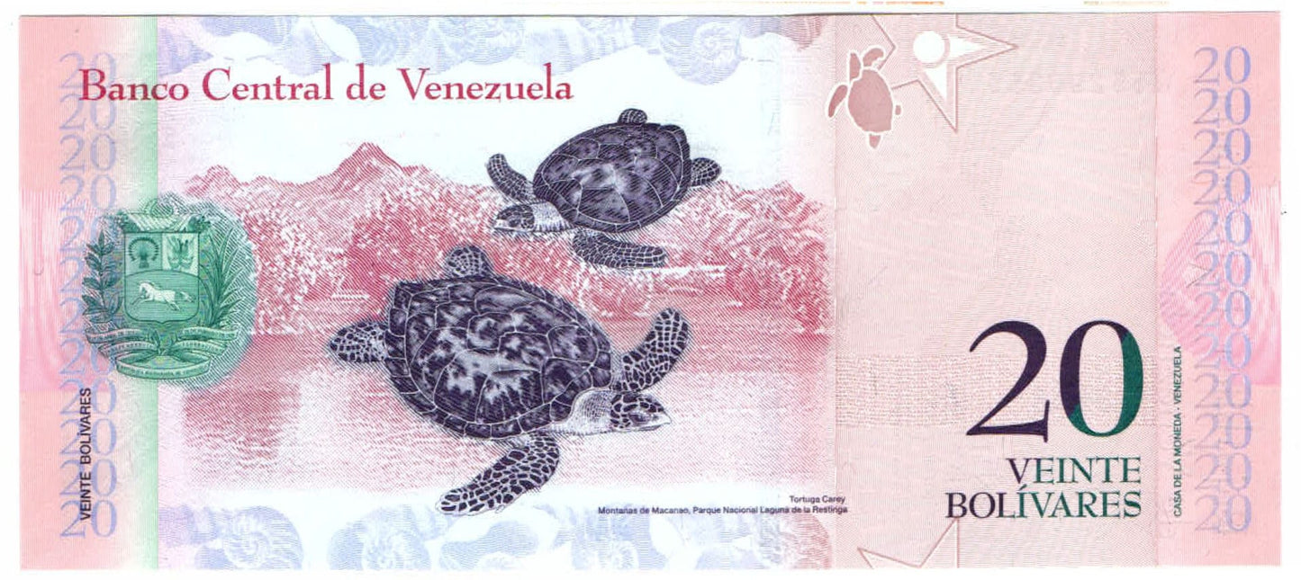 Luisa Cáceres de Arismendi 20 Bolivares Venezuela Authentic Banknote for Craft Making (Hawksbill Sea Turtles)