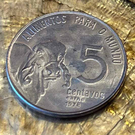 Zebu & Liberty Head 5 Centavos Brazil Authentic Coin Money for Jewelry and Craft Making