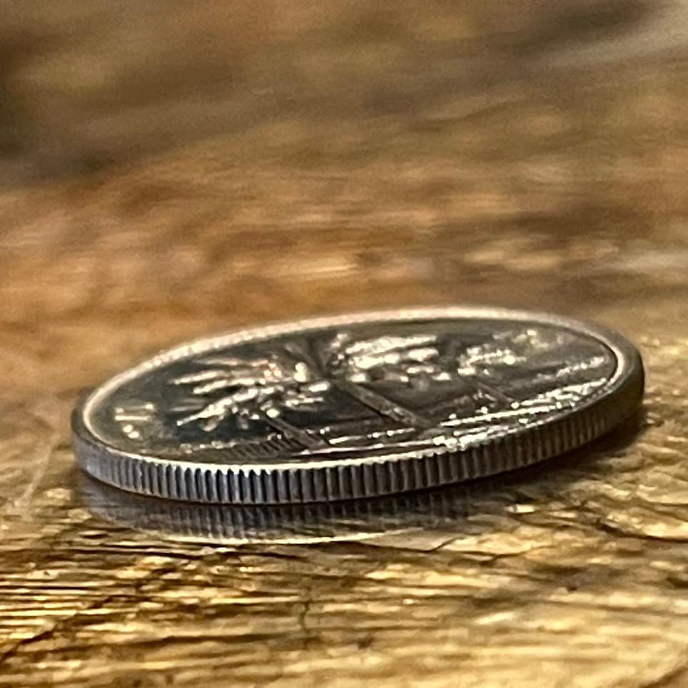 Date Palm Trees 25 Fils Iraq Authentic Coin Money for Jewelry and Craft Making