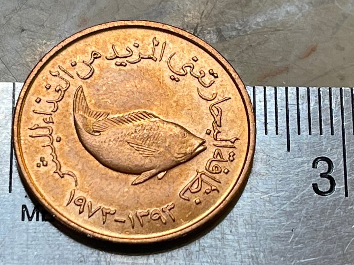 Spangled Emperor Fish 5 Fils United Arab Emirates Authentic Coin Money for Jewelry and Craft Making