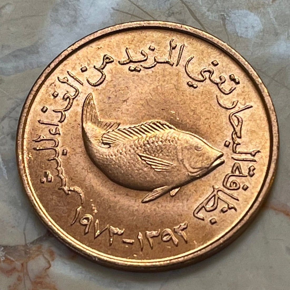 Spangled Emperor Fish 5 Fils United Arab Emirates Authentic Coin Money for Jewelry and Craft Making