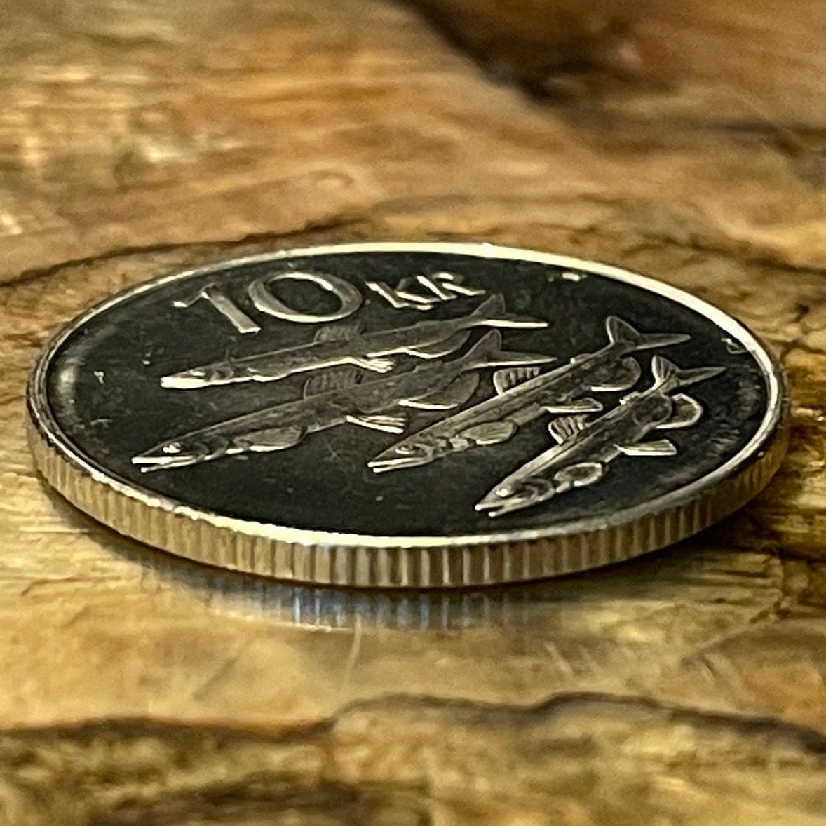 Capelin Fish & Landvaettir 10 Kronur Iceland Authentic Coin Money for Jewelry and Craft Making (Smelt)