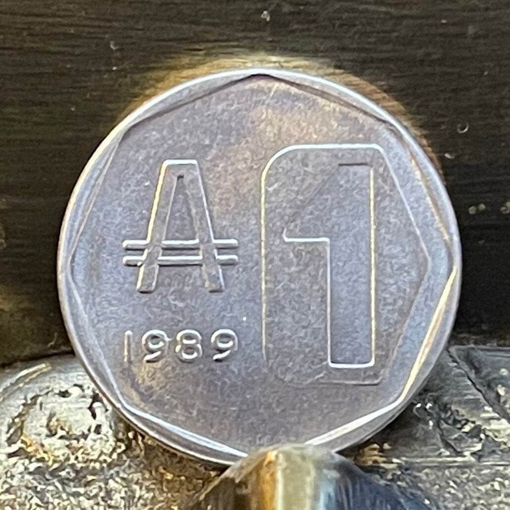 Buenos Aires City Hall 1 Austral Argentina Authentic Coin for Jewelry and Craft Making 1989