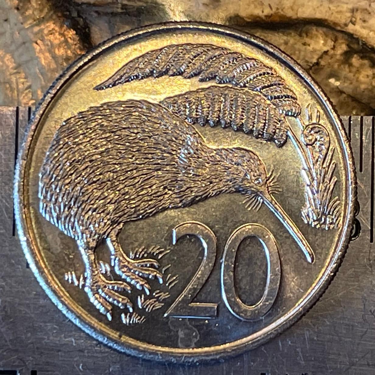 Kiwi 20 Cents New Zealand Authentic Coin Charm for Jewelry and Craft Making
