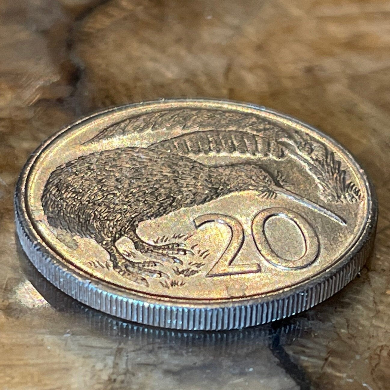 Kiwi 20 Cents New Zealand Authentic Coin Charm for Jewelry and Craft Making