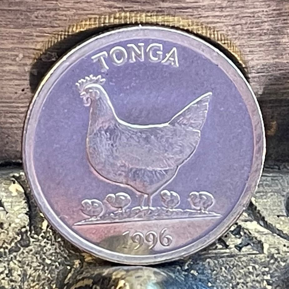 Coconuts & Hen and Chicks 5 Seniti Tonga Authentic Coin Money for Jewelry and Craft Making