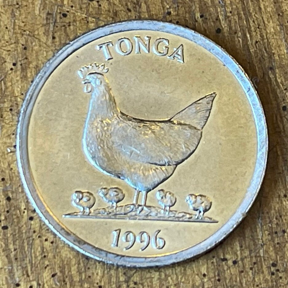 Hen and Chicks & Coconuts 5 Seniti Tonga Authentic Coin Money for Jewelry and Craft Making