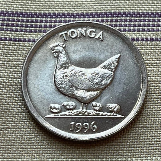 Hen and Chicks & Coconuts 5 Seniti Tonga Authentic Coin Money for Jewelry and Craft Making