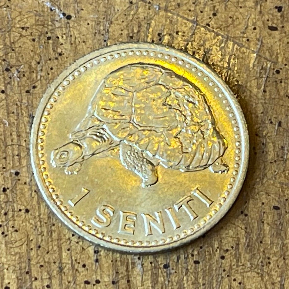 King Taufa'ahau Tupou IV & King Malila the Giant Tortoise 1 Seniti Tonga Authentic Coin Charm for Jewelry and Craft Making
