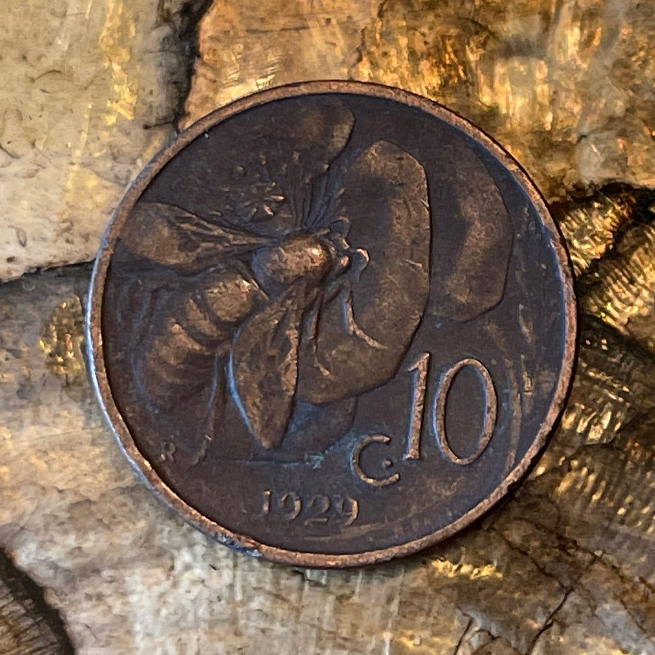 Italian Honeybee & King Victor Emanuel 10 Centesimi Italy Coin Money for Jewelry -- Condition is FAIR