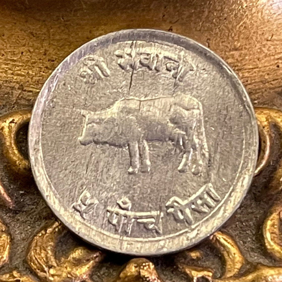Mt Everest, Sacred Cow, Hindu Trishula Trident 5 Paisa Nepal Authentic Coin Money for Jewelry & Crafts (Goddess) (Sagarmatha)