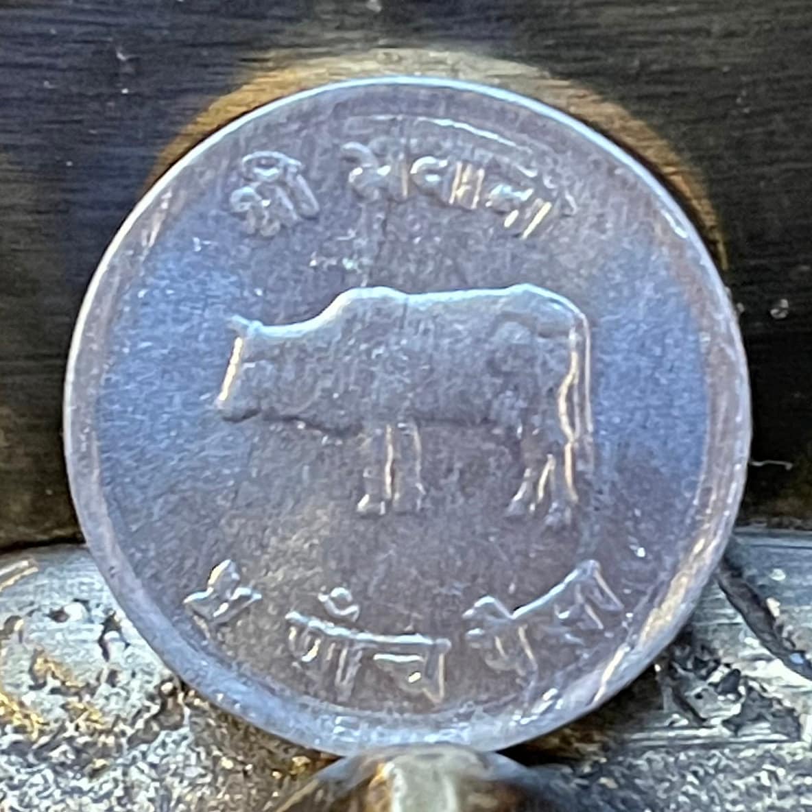 Mt Everest, Sacred Cow, Hindu Trishula Trident 5 Paisa Nepal Authentic Coin Money for Jewelry & Crafts (Goddess) (Sagarmatha)