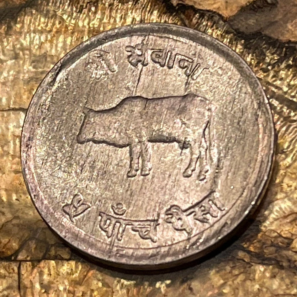 Mt Everest, Sacred Cow, Hindu Trishula Trident 5 Paisa Nepal Authentic Coin Money for Jewelry & Crafts (Goddess) (Sagarmatha)