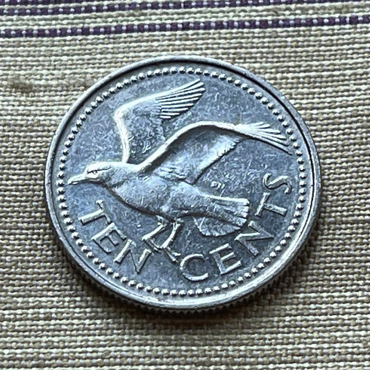 Laughing Gull 10 Cents Barbados Authentic Coin Money for Jewelry and Craft Making (Seagull))