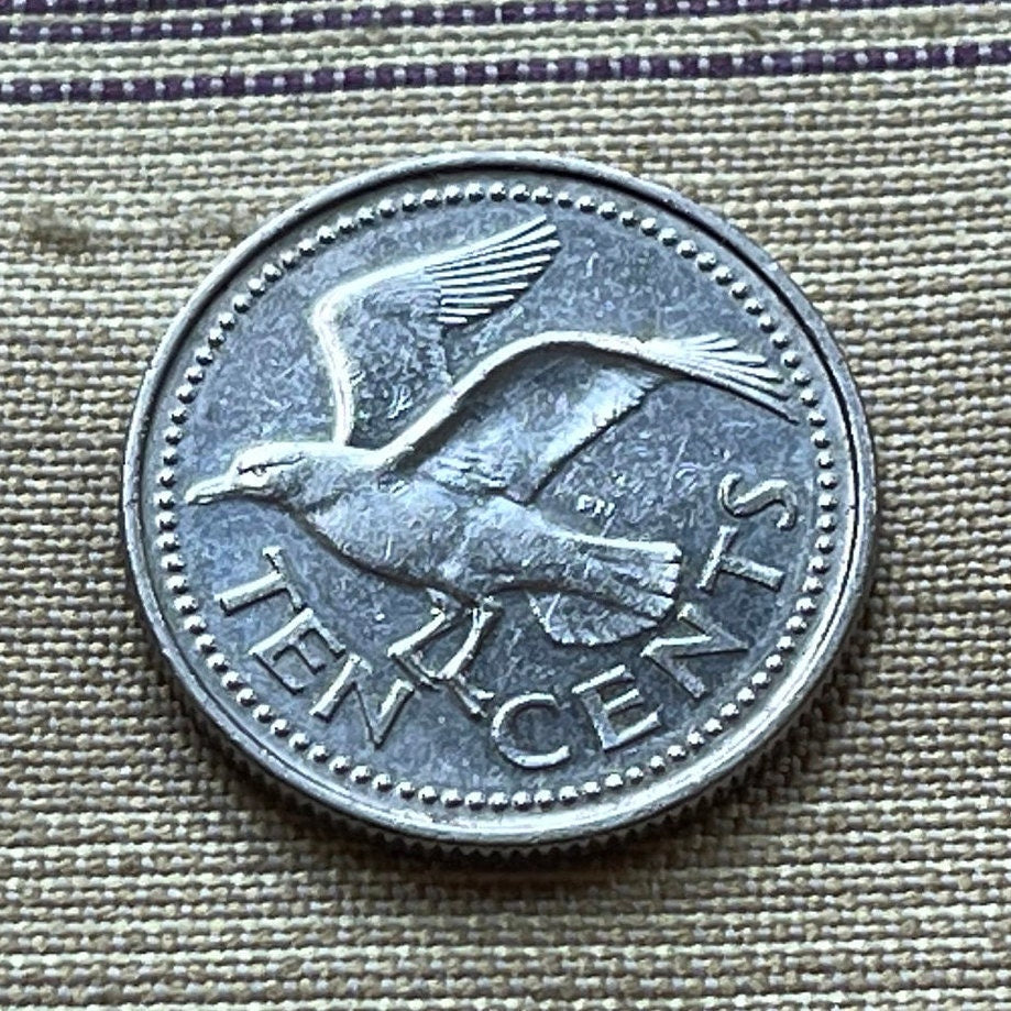 Laughing Gull 10 Cents Barbados Authentic Coin Money for Jewelry and Craft Making (Seagull))