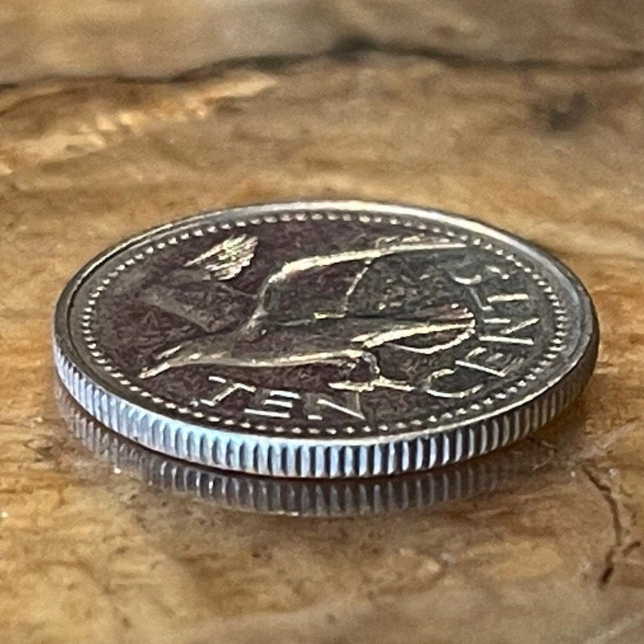 Laughing Gull 10 Cents Barbados Authentic Coin Money for Jewelry and Craft Making (Seagull))