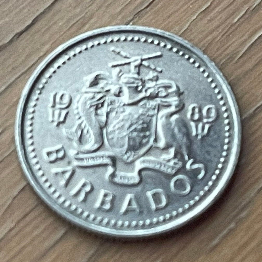 Laughing Gull 10 Cents Barbados Authentic Coin Money for Jewelry and Craft Making (Seagull))