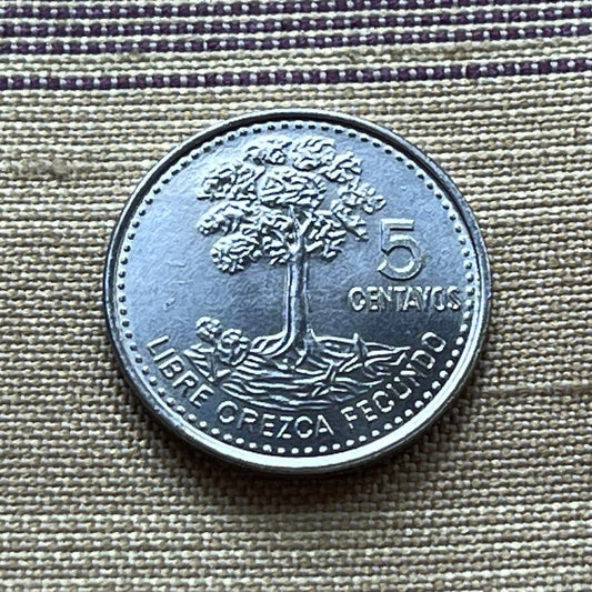 Kapok Tree 5 Centavos Guatemala Authentic Coin Money for Jewelry and Craft Making