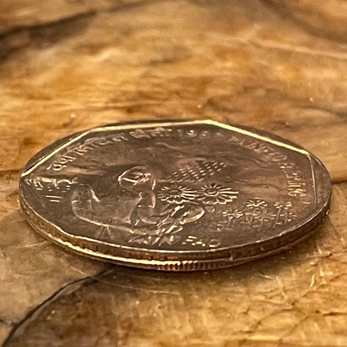 Rainfed Farming & Ashoka Lion Capitol 1 Rupee India Authentic Coin Money for Jewelry and Craft Making FAO