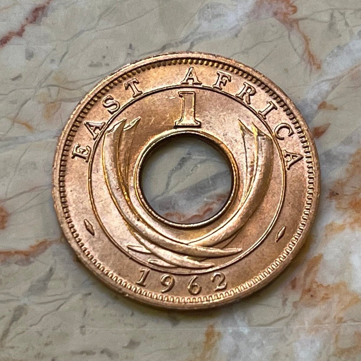 Elephant Tusks 1 Cent East Africa Authentic Coin Money for Jewelry and Craft Making