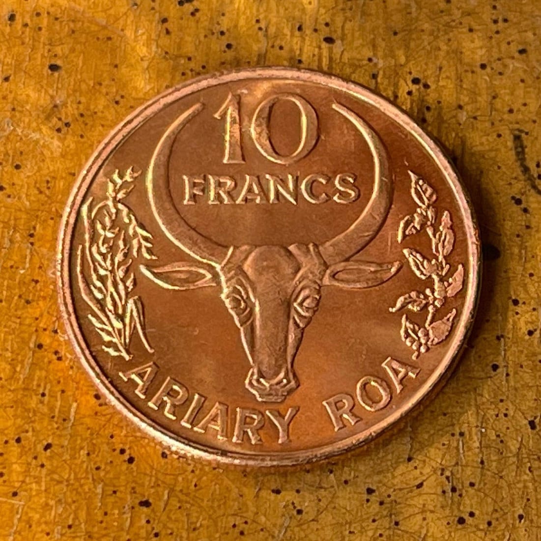 Vanilla and Zebu 10 Francs Madagascar Authentic Coin Money for Jewelry and Craft Making (2 Ariary) (Omby)