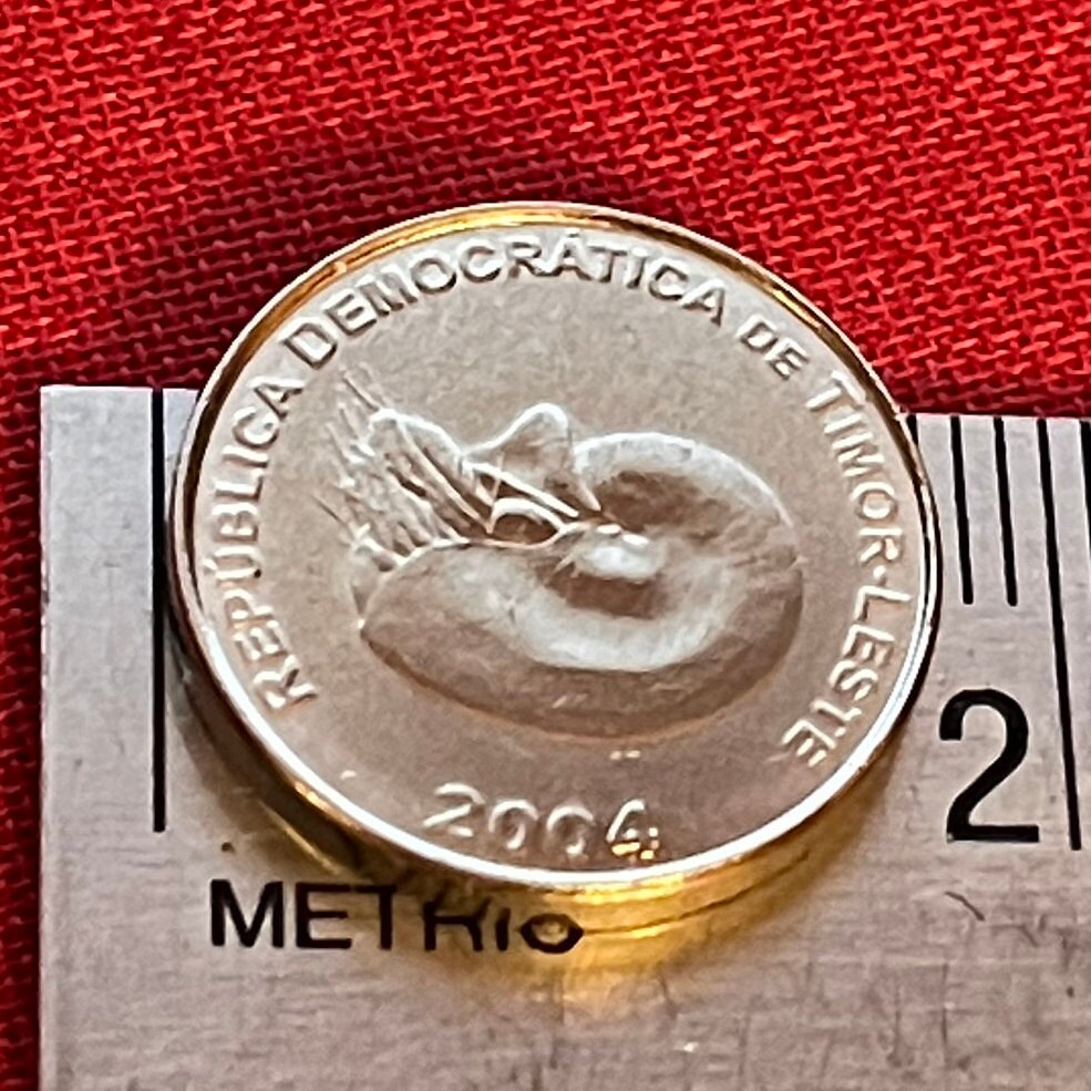 Spiral Nautilus 1 Centavo Timor Authentic Coin Money for Jewelry and Craft Making