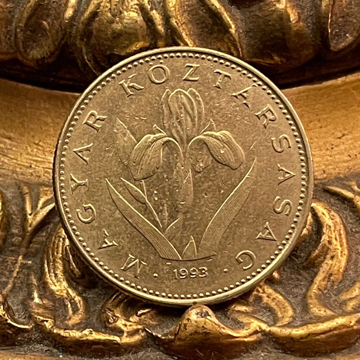 Hungarian Iris 20 Forint Hungary Coin Money for Jewelry and Craft Making