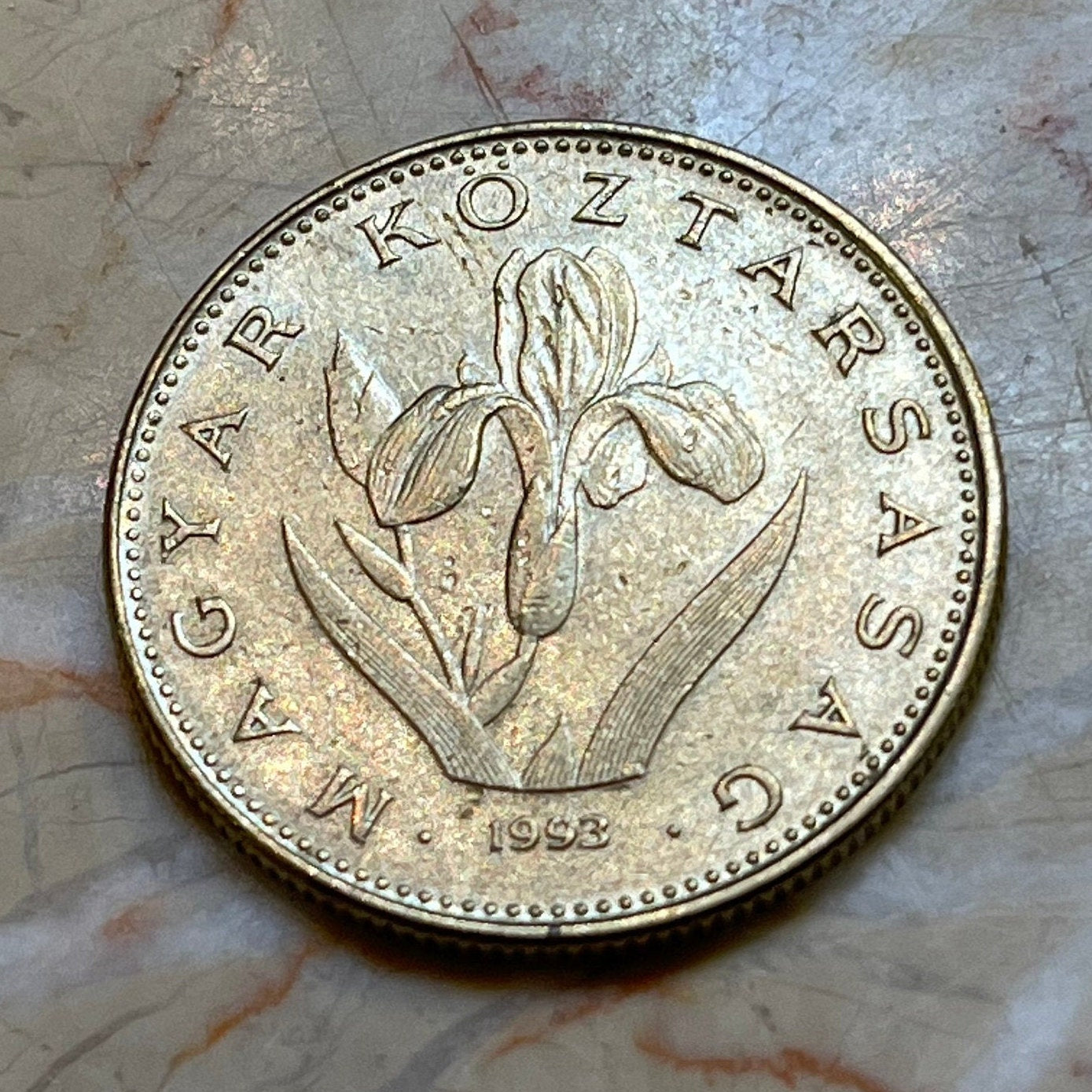 Hungarian Iris 20 Forint Hungary Coin Money for Jewelry and Craft Making