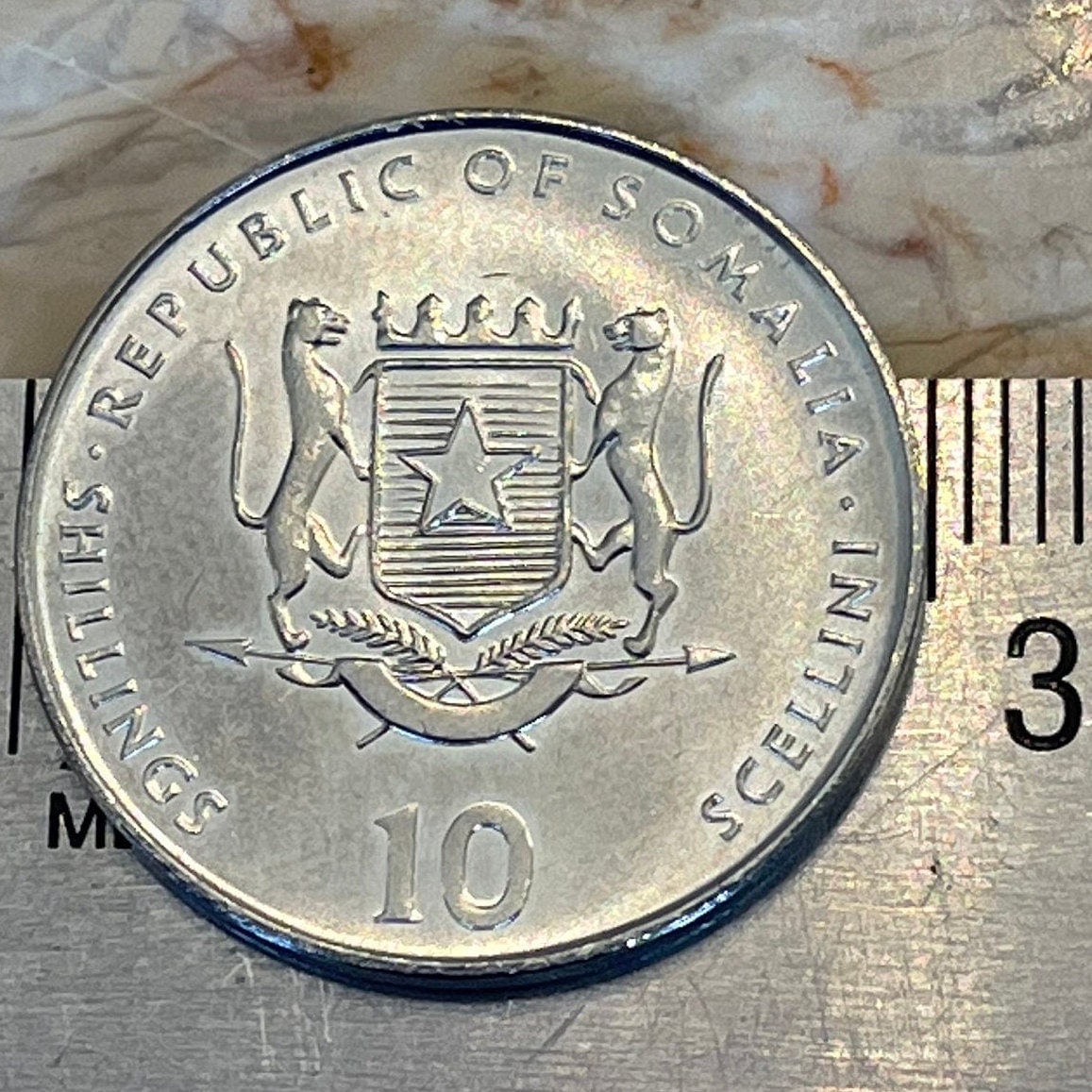 Year of the Goat Chinese Zodiac 10 Shillings Somalia Authentic Coin Money for Jewelry and Craft Making 1955 1967 1979 1991 2003