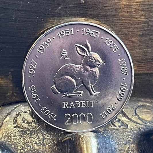 Year of the Rabbit 10 Shillings Somalia Authentic Coin Money for Jewelry and Craft Making (Chinese Zodiac) (African Wild Hare)