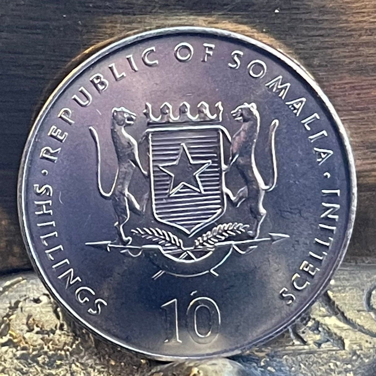 Year of the Goat Chinese Zodiac 10 Shillings Somalia Authentic Coin Money for Jewelry and Craft Making 1955 1967 1979 1991 2003