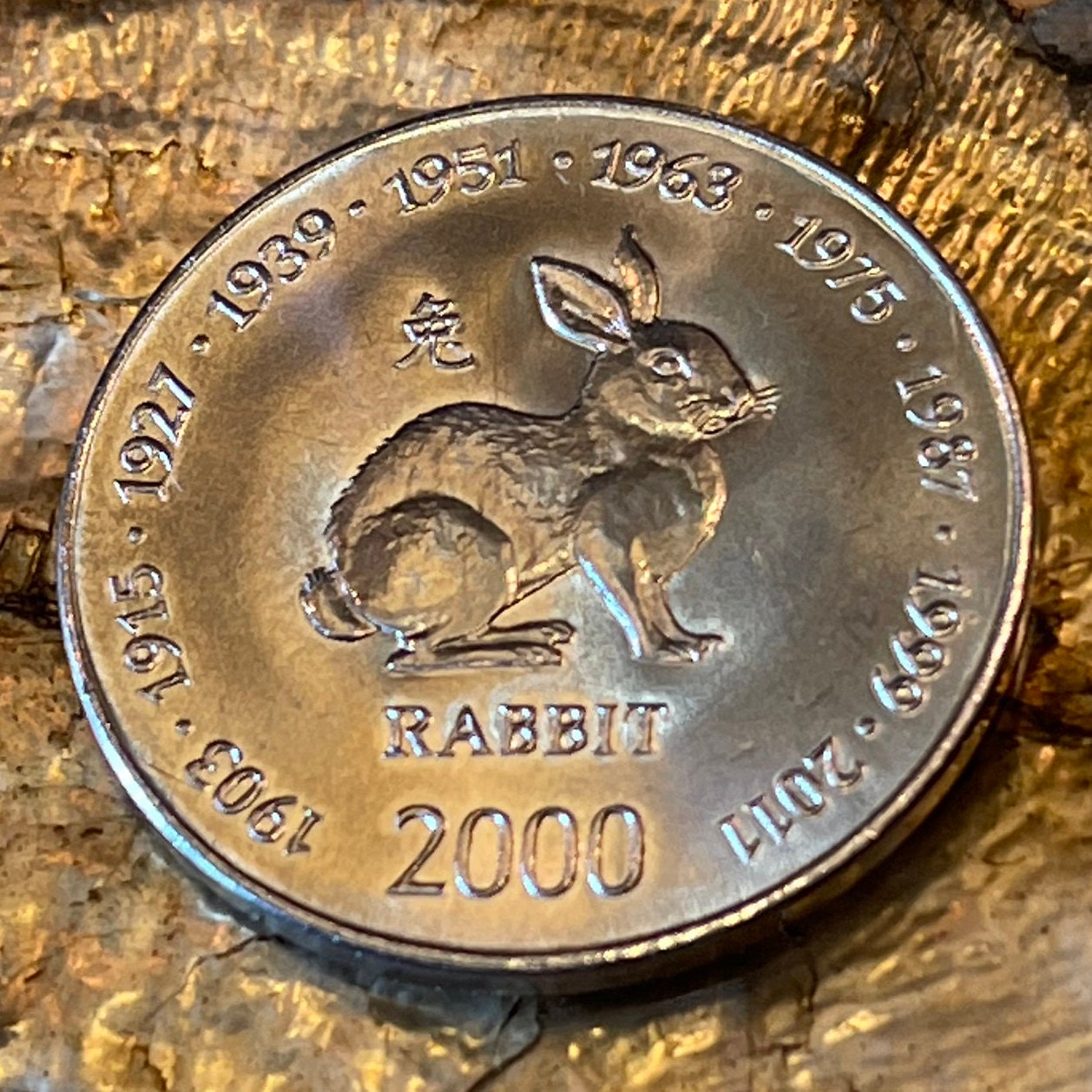 Year of the Rabbit 10 Shillings Somalia Authentic Coin Money for Jewelry and Craft Making (Chinese Zodiac) (African Wild Hare)