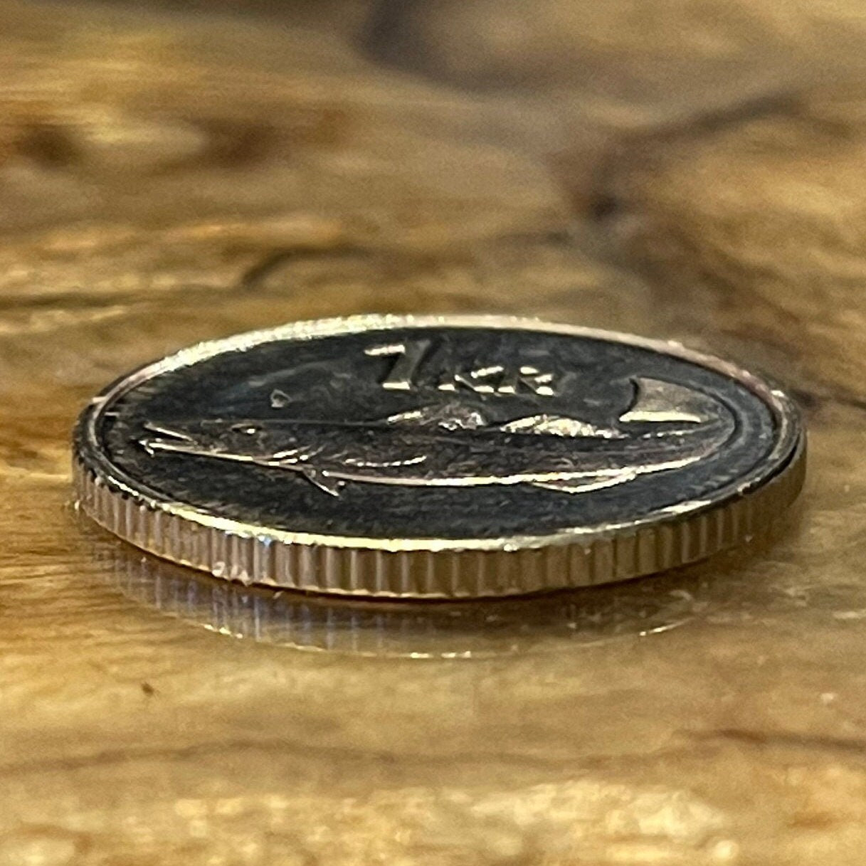 Cod Fish & Giant Bergrisi 1 Krona Iceland Authentic Coin Money for Jewelry and Craft Making