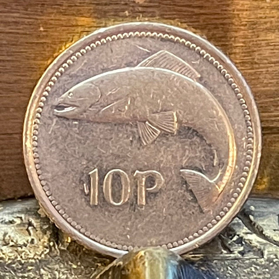 Atlantic Salmon & Harp 10 Pence Ireland Authentic Coin Money for Jewelry and Craft Making