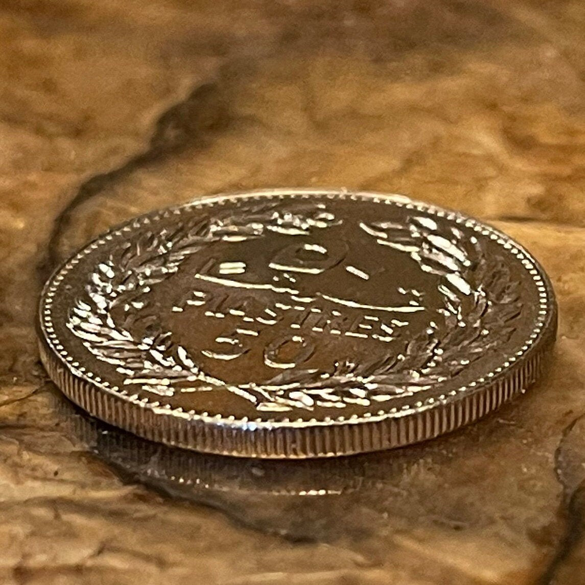 Cedar of Lebanon 50 Piastres Lebanon Authentic Coin Money for Jewelry and Craft Making (50 Qirsha) (Gilgamesh) 1980