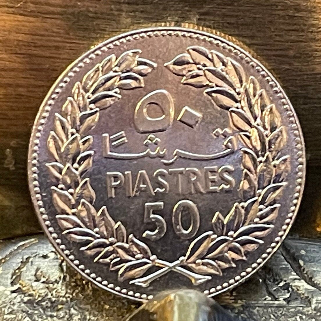 Cedar of Lebanon 50 Piastres Lebanon Authentic Coin Money for Jewelry and Craft Making (50 Qirsha) (Gilgamesh) 1980