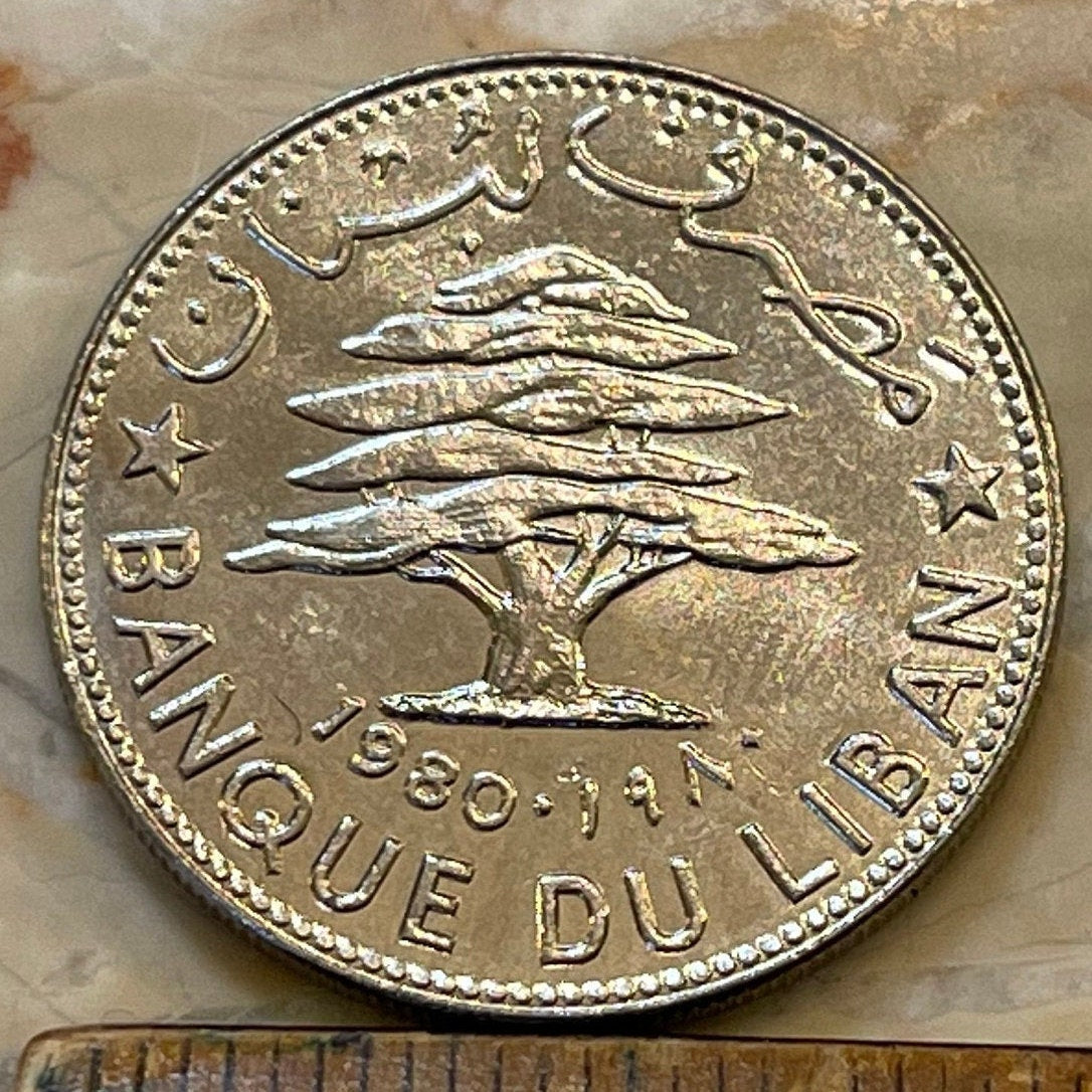 Cedar of Lebanon 50 Piastres Lebanon Authentic Coin Money for Jewelry and Craft Making (50 Qirsha) (Gilgamesh) 1980