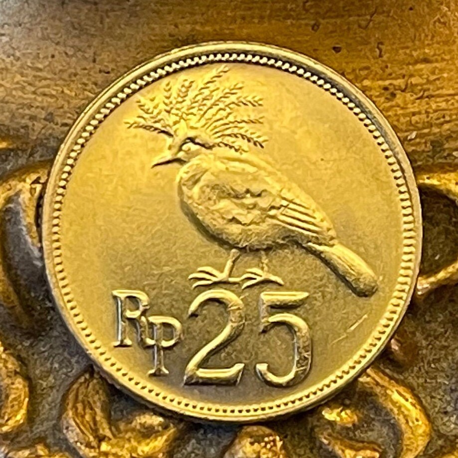 Victoria Crowned Pigeon 25 Rupiah Indonesia Authentic Coin Money for Jewelry and Craft Making