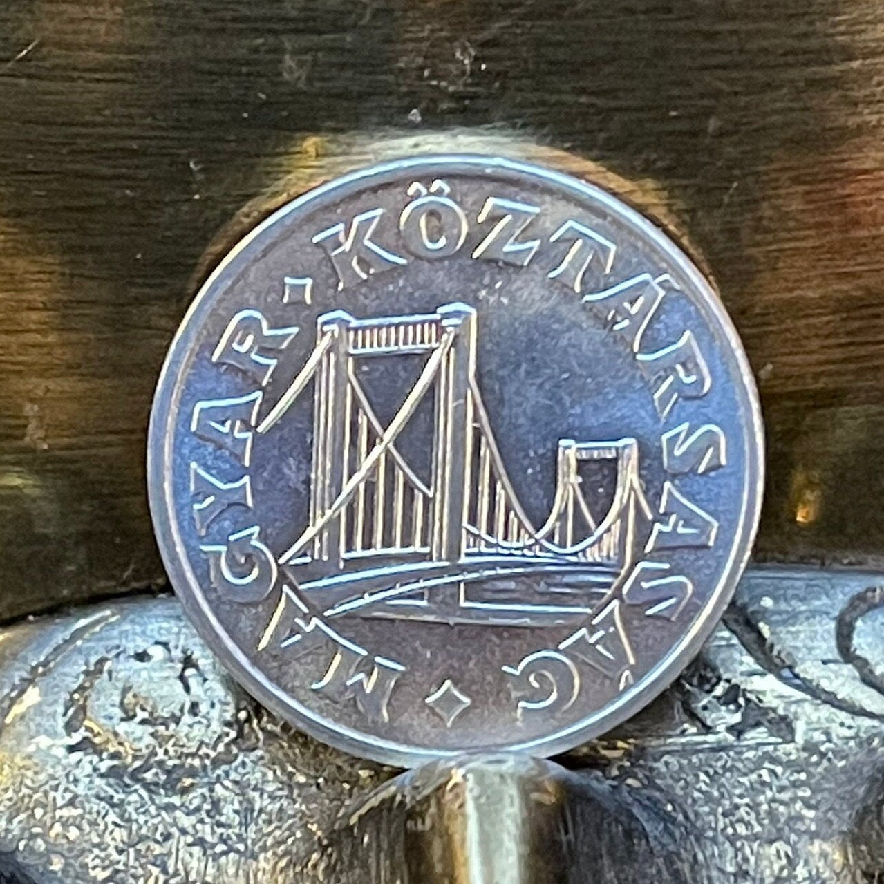 Elizabeth Bridge Hungary 50 Filler Authentic Coin Money for Jewelry and Craft Making (Elisabeth Bridge or Erzsébet Bridge) Budapest