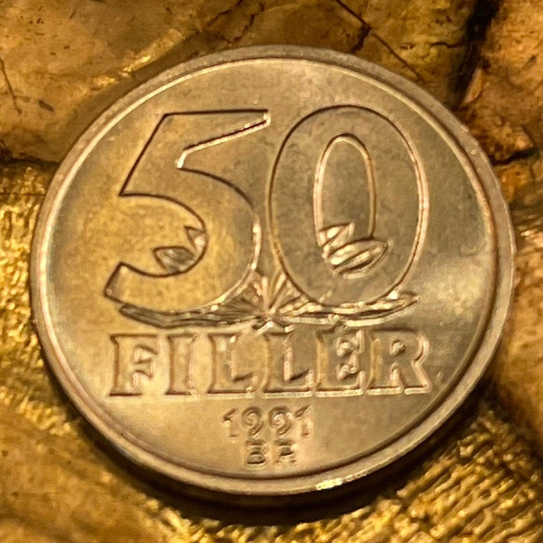 Elizabeth Bridge Hungary 50 Filler Authentic Coin Money for Jewelry and Craft Making (Elisabeth Bridge or Erzsébet Bridge) Budapest