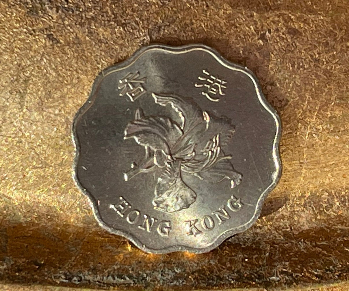 Bauhinia Orchid 20 Cent Hong Kong Authentic Coin Money for Jewelry and Craft Making