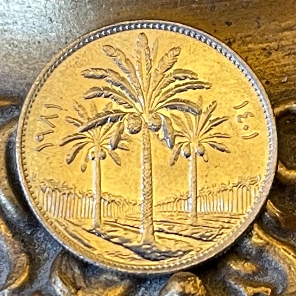 Date Palm Trees 25 Fils Iraq Authentic Coin Money for Jewelry and Craft Making