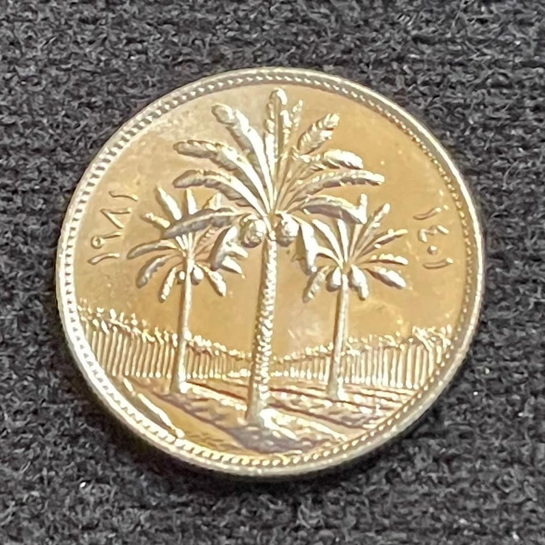 Date Palm Trees 25 Fils Iraq Authentic Coin Money for Jewelry and Craft Making