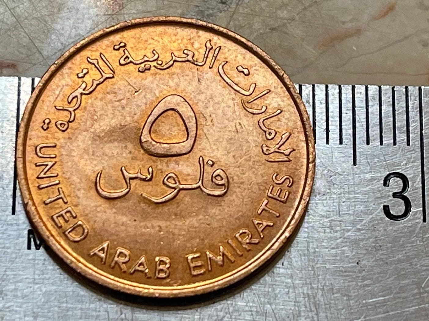 Spangled Emperor Fish 5 Fils United Arab Emirates Authentic Coin Money for Jewelry and Craft Making
