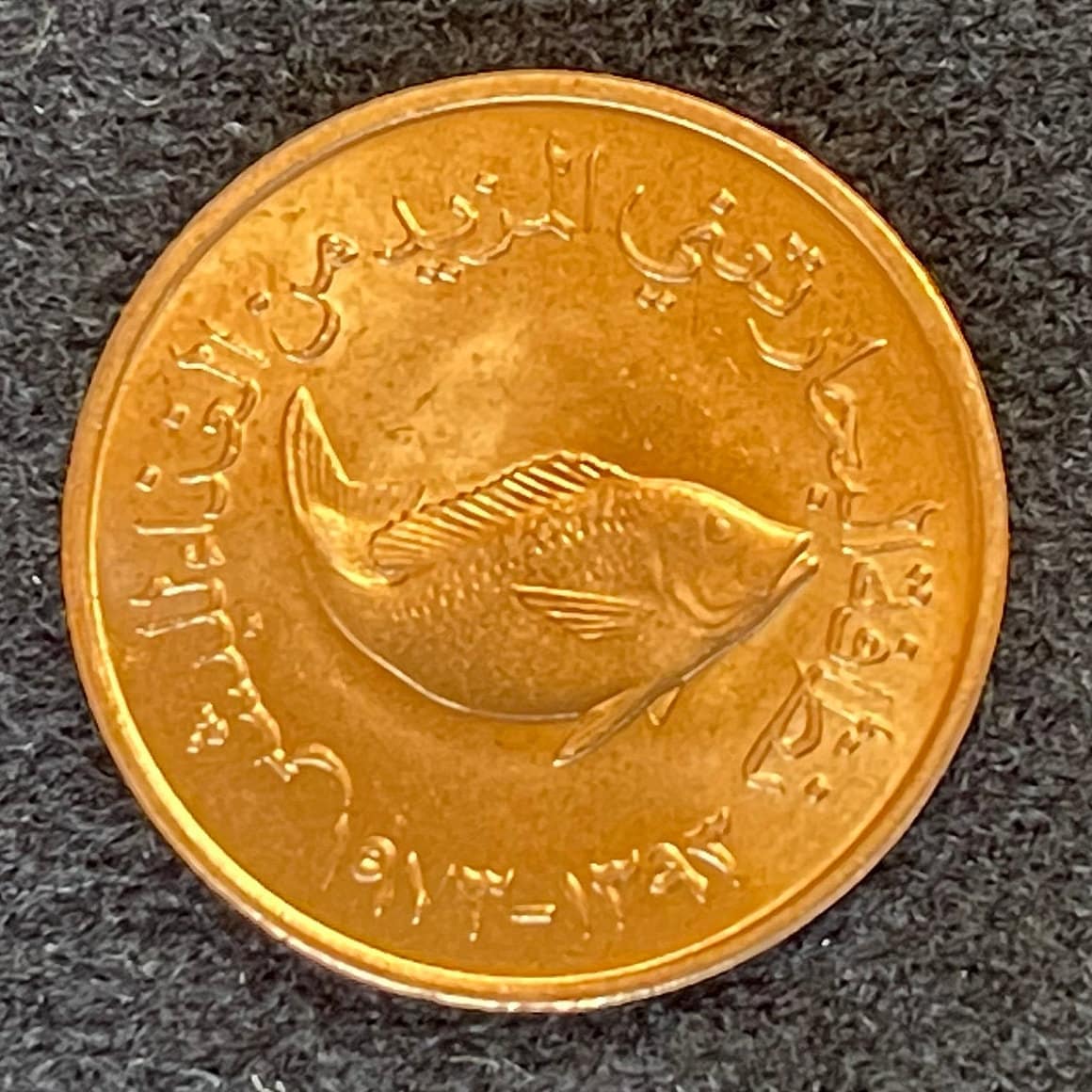 Spangled Emperor Fish 5 Fils United Arab Emirates Authentic Coin Money for Jewelry and Craft Making