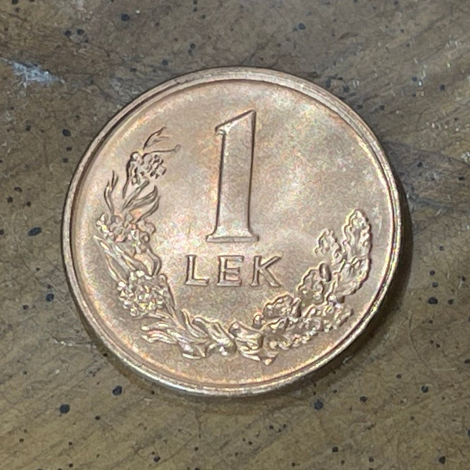Dalmatian Pelican 1 Lek Albania Authentic Coin Money for Jewelry and Craft Making