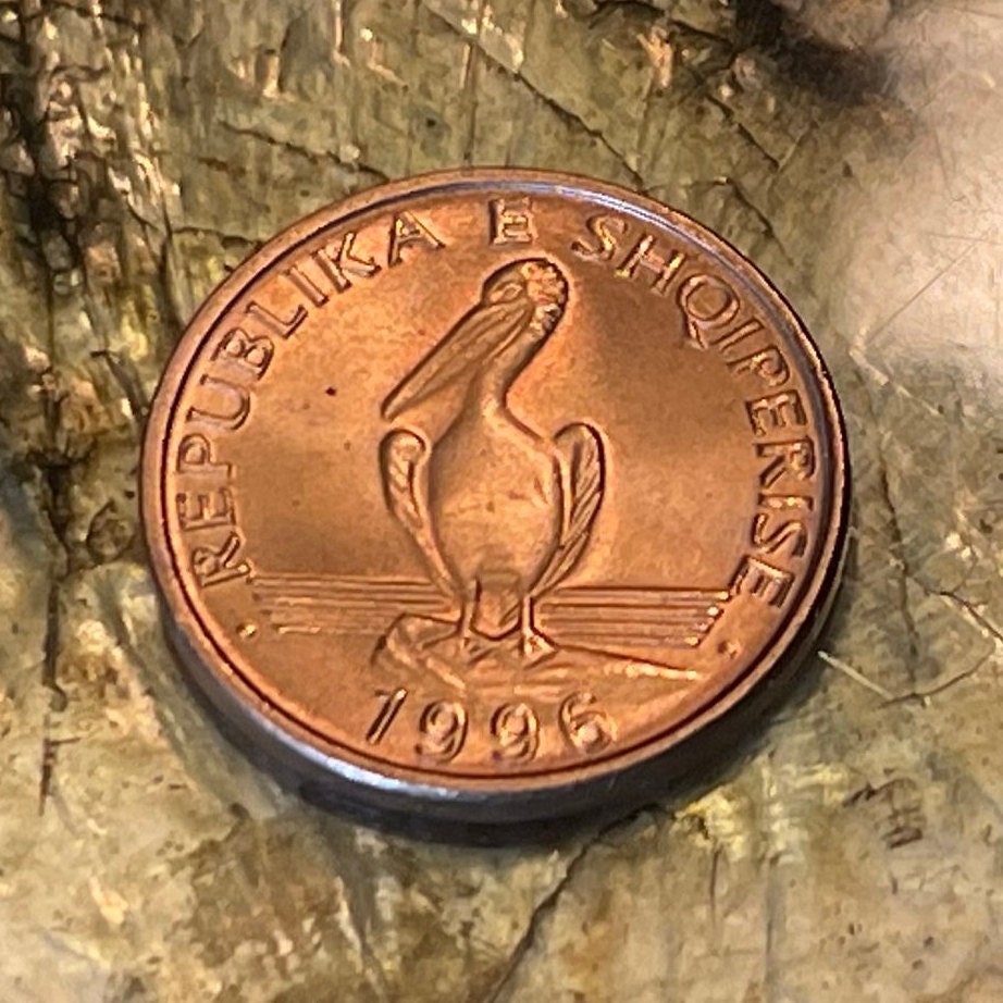 Dalmatian Pelican 1 Lek Albania Authentic Coin Money for Jewelry and Craft Making