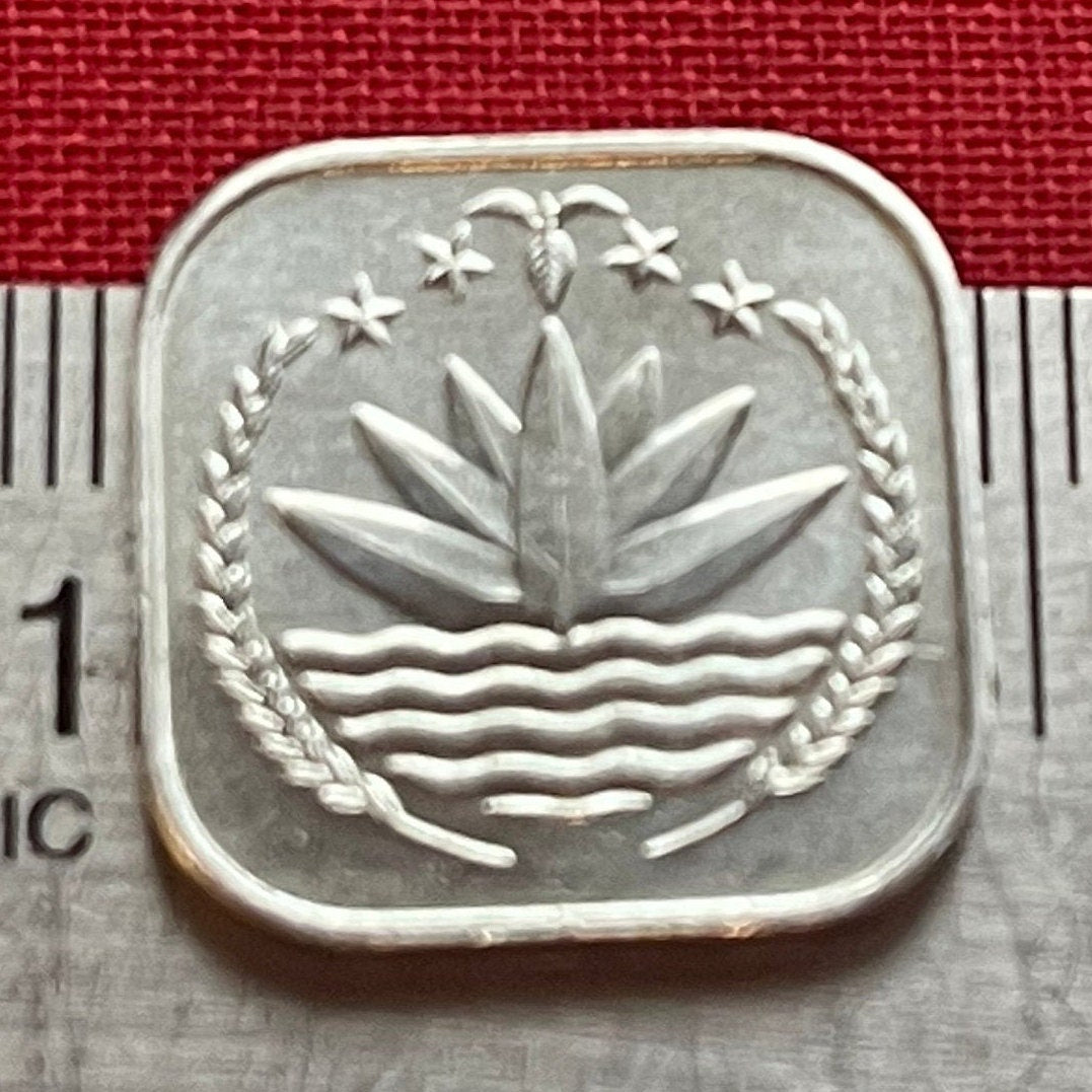 Water Lily 5 Poisha Bangladesh Authentic Coin Money for Jewelry and Craft Making (Lotus) (Blue Lotus) (Star Lotus)